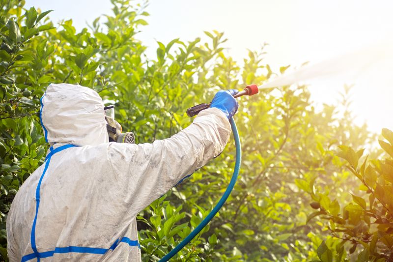 Pest Fumigation Service in Asheville, NC