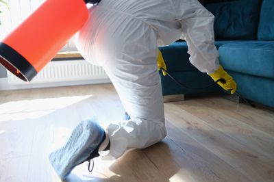 Roach Fumigation in Wilmington, DE