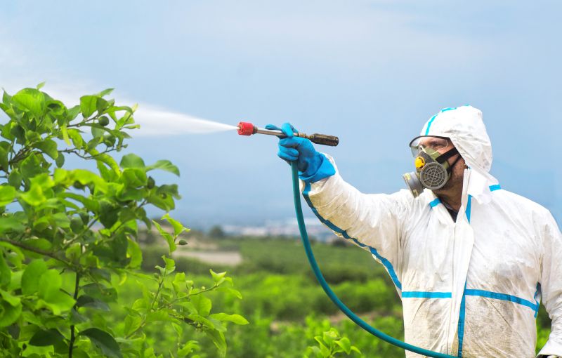 Roach Fumigation in Cumming, GA