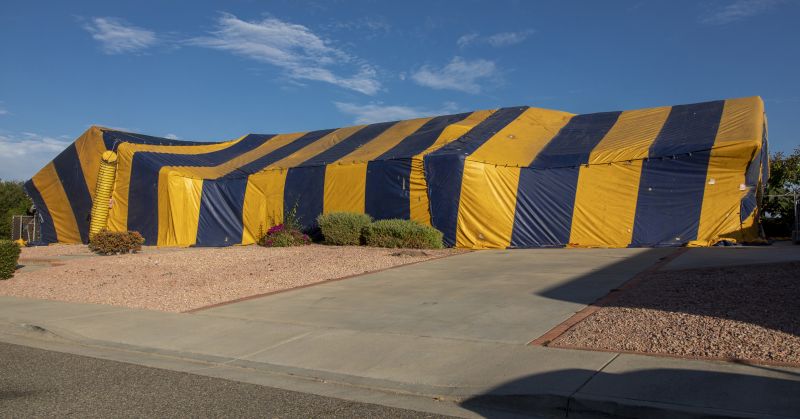 Termite Tenting in Myrtle Beach, SC