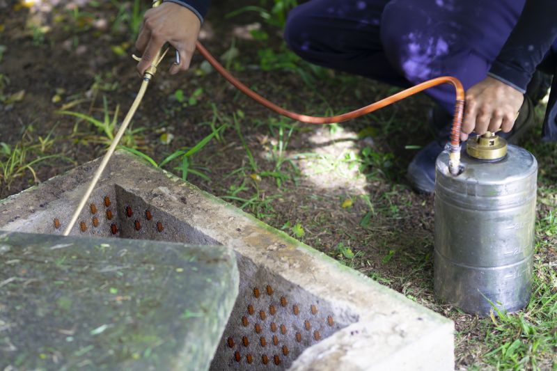 Pest Fumigation Service in Clarksville, TN