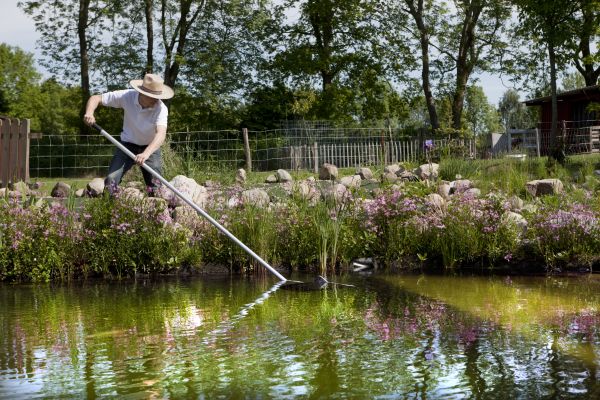 Pond Maintenance